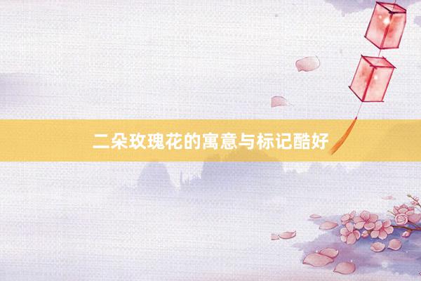 二朵玫瑰花的寓意与标记酷好